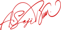 OnlineSignatures.net-115-Seji Ahmad